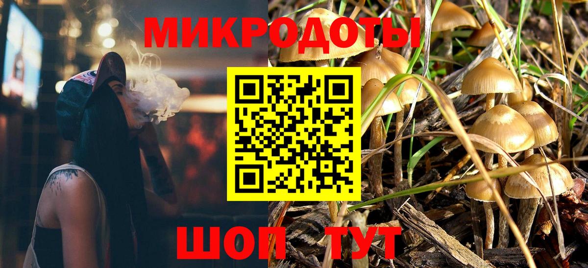 Галлюциногенные грибы Psilocybe Гусиноозёрск