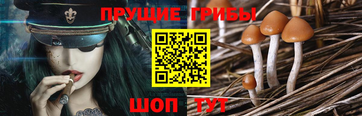 Псилоцибиновые грибы ЛСД  Вход с VPN  Гусиноозёрск 